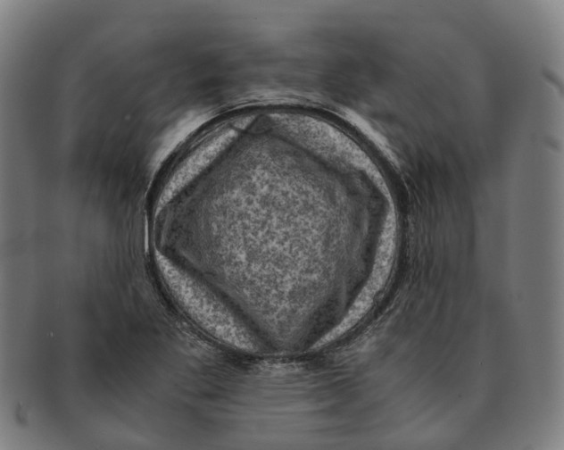 X0000091011269200708301349