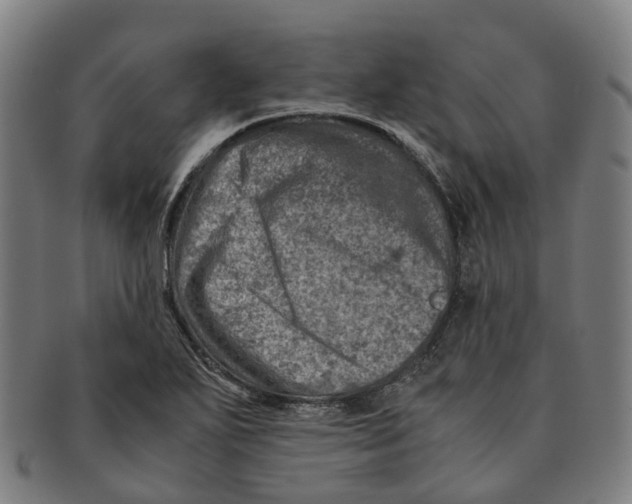 X0000091011271200708301349