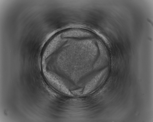 X0000091011272200708301349