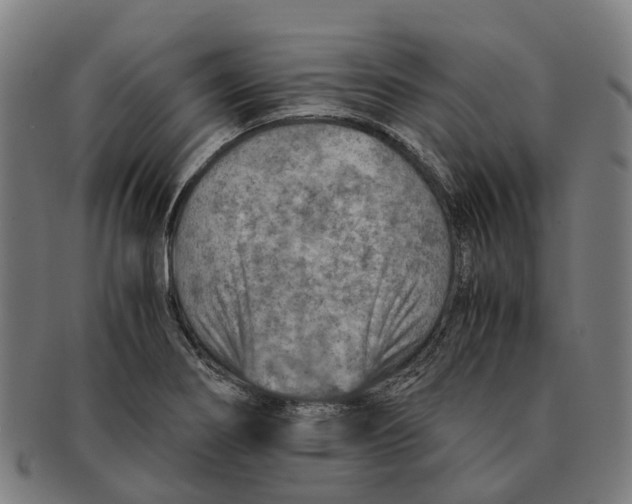 X0000091011274200708301349