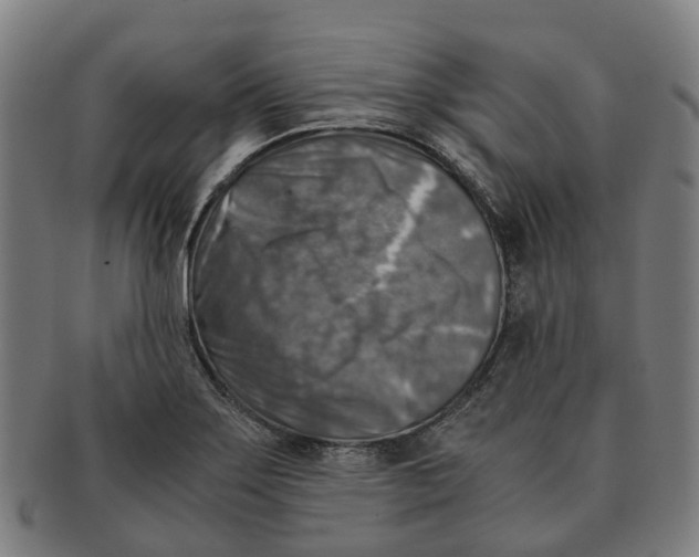 X0000091011275200708301349