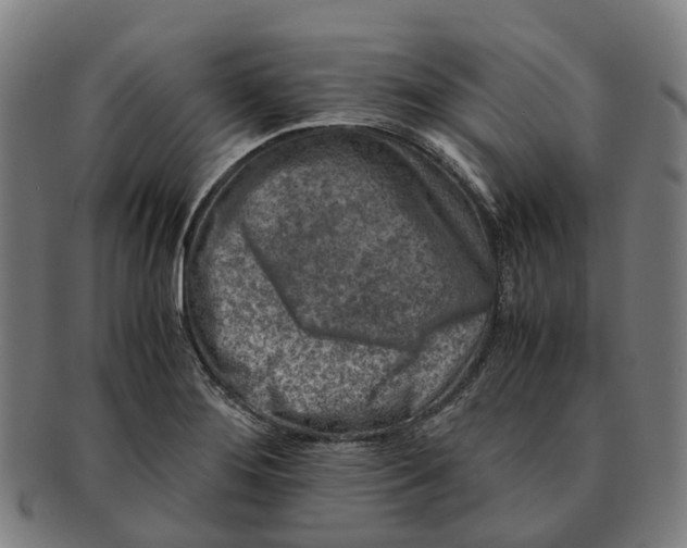 X0000091011276200708301349