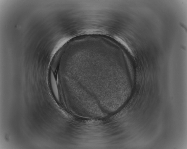 X0000091011277200708301349