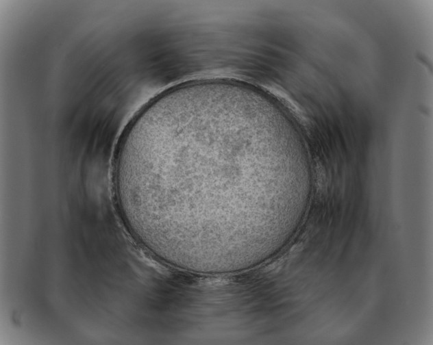 X0000091011278200708301349