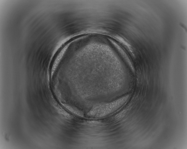 X0000091011280200708301349