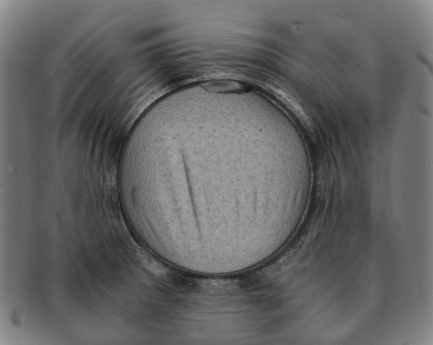 X0000091011281200708301349