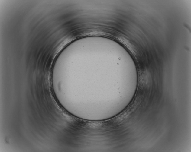 X0000091011282200708301349