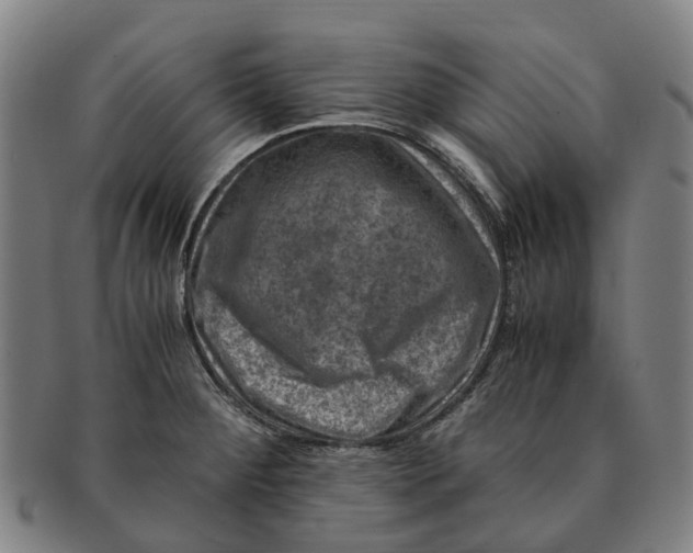 X0000091011284200708301349