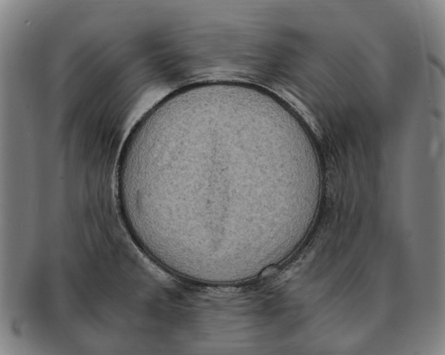 X0000091011285200708301349