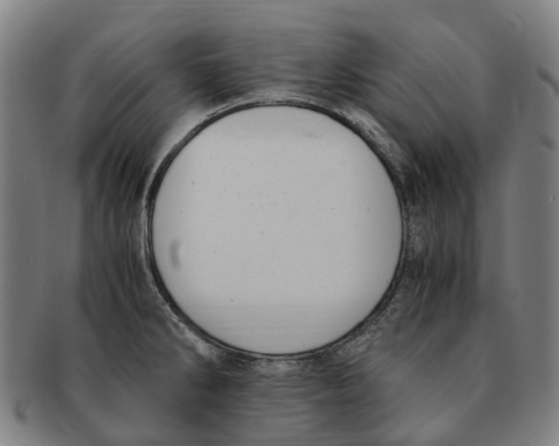 X0000091011286200708301349