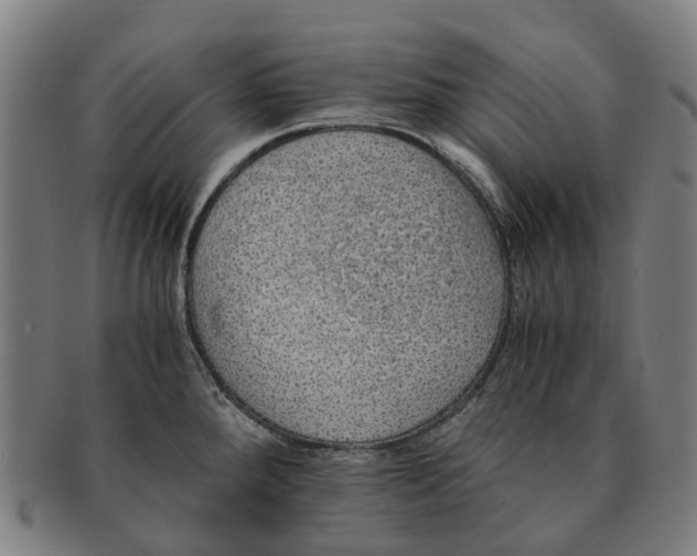 X0000091011288200708301349