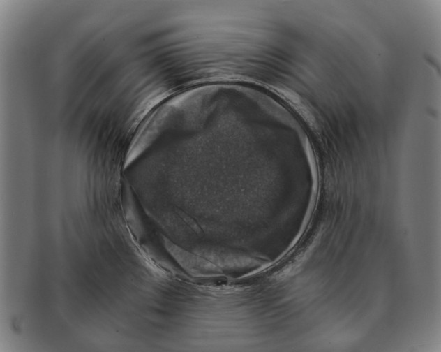 X0000091011289200708301349