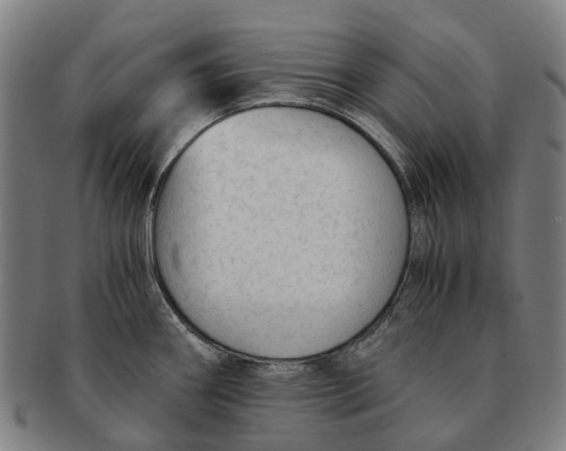 X0000091011290200708301348