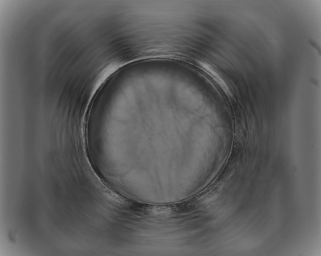 X0000091011291200708301348