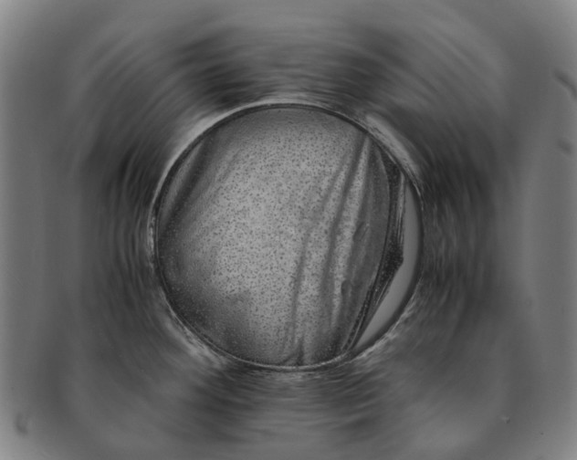 X0000091011292200708301348