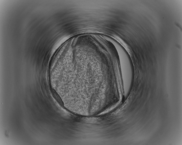 X0000091011293200708301348