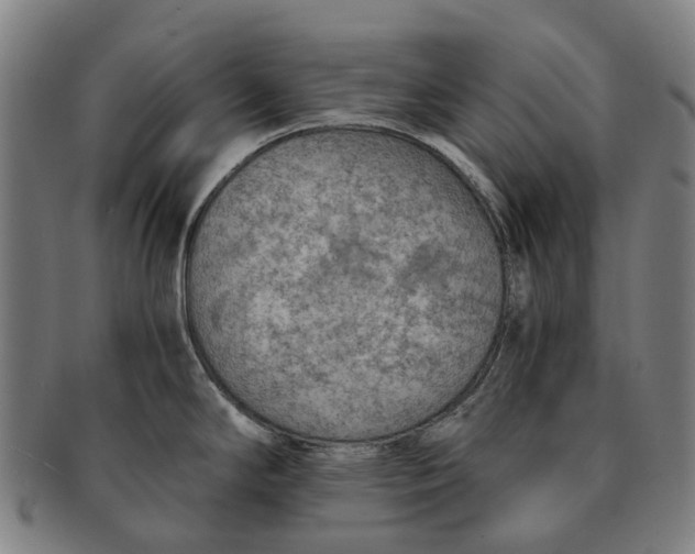 X0000091011294200708301348