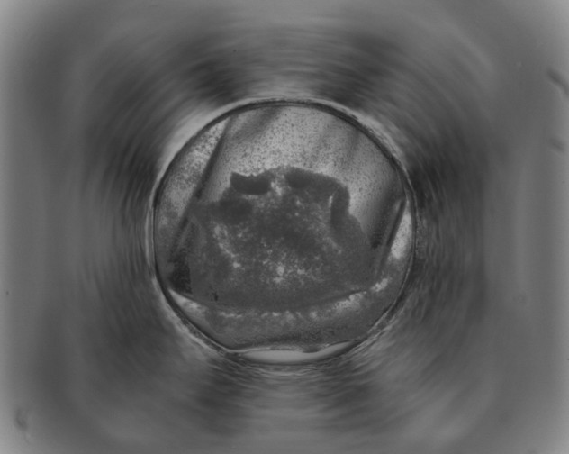 X0000091011295200708301348