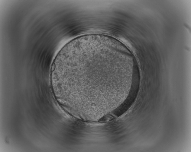 X0000091011296200708301348