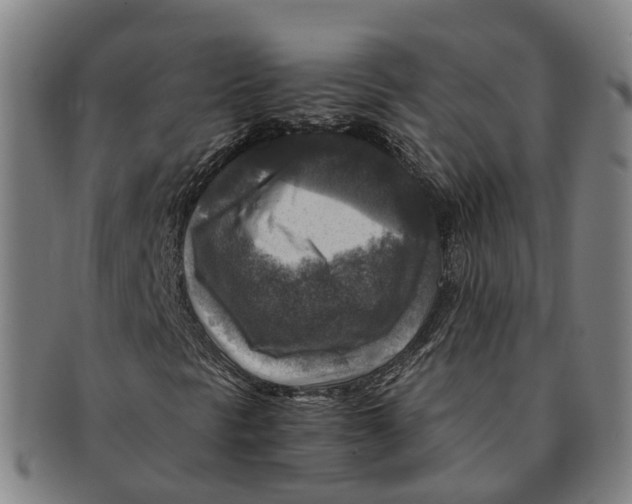 X0000091011297200708301348