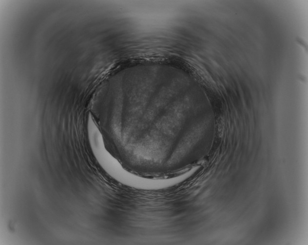 X0000091011298200708301348