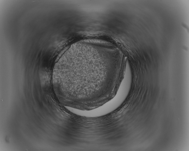 X0000091011300200708301348