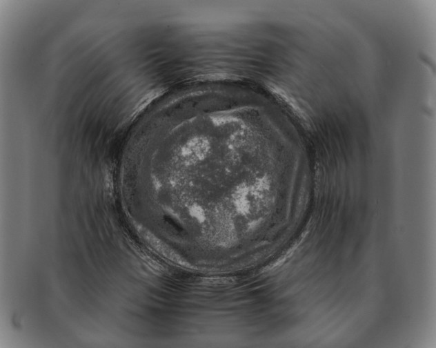 X0000091011305200708301348