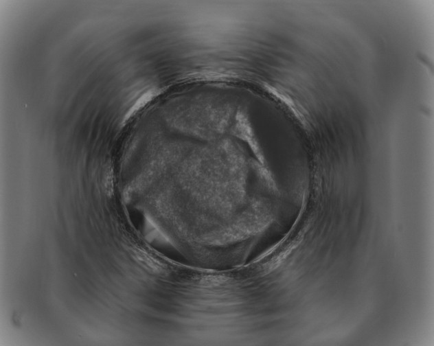 X0000091011306200708301348