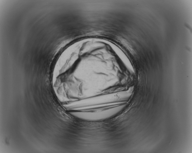 X0000091011308200708301348