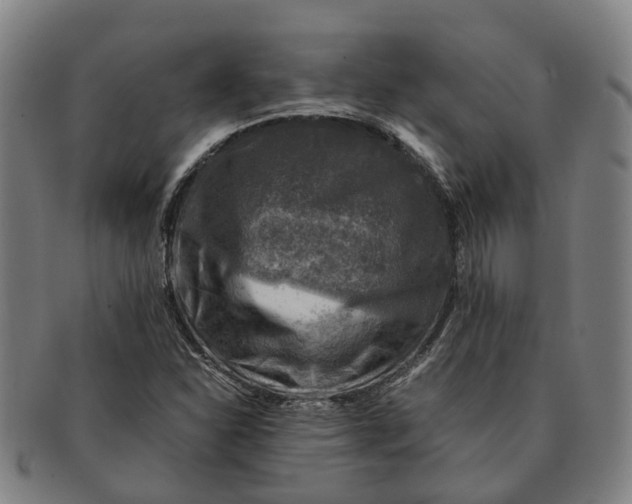 X0000091011310200708301348