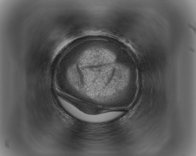 X0000091011311200708301348