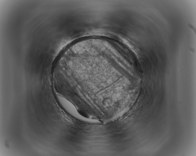 X0000091011312200708301348