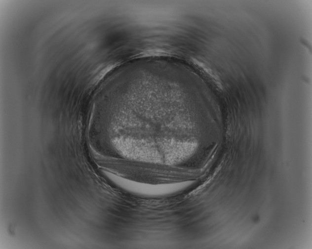 X0000091011313200708301348