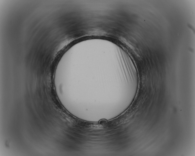 X0000091011315200708301348