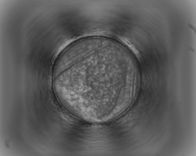 X0000091011316200708301348