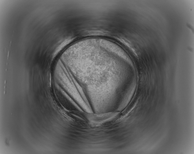 X0000091011317200708301348