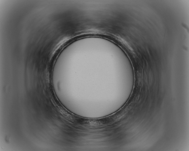 X0000091011318200708301348