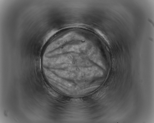 X0000091011320200708301348