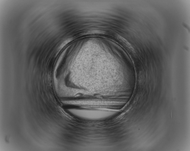 X0000091011321200708301348