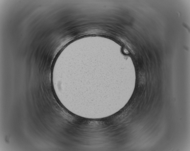 X0000091011322200708301348