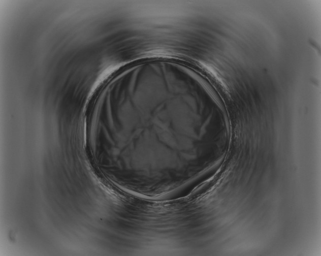 X0000091011323200708301348