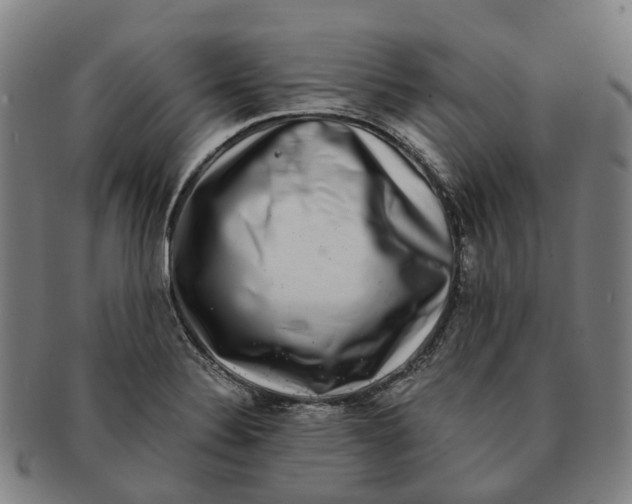 X0000091011324200708301348