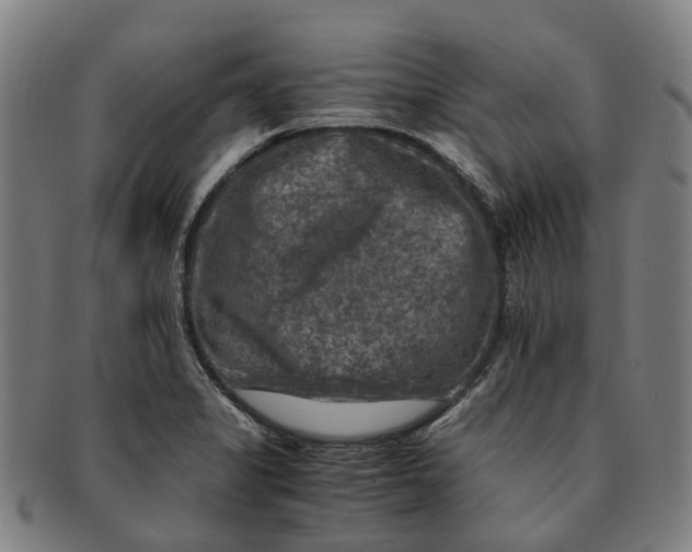 X0000091011325200708301348