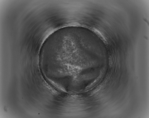 X0000091011326200708301348