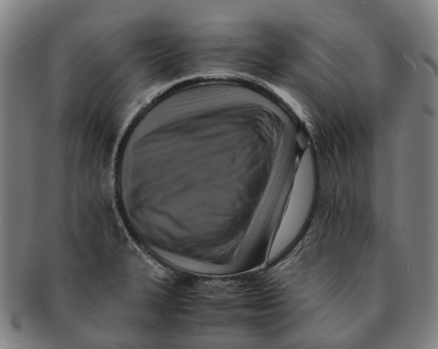 X0000091011327200708301348