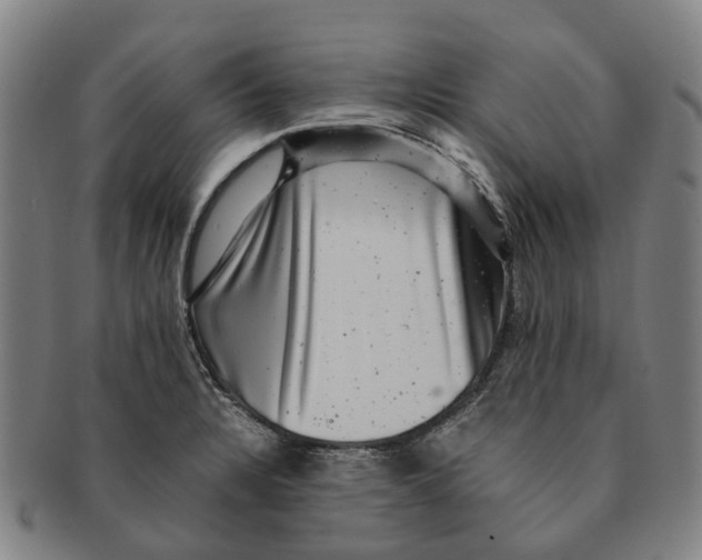 X0000091011328200708301348