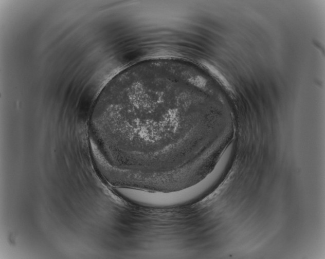 X0000091011329200708301348