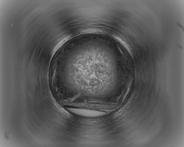 X0000091011330200708301348