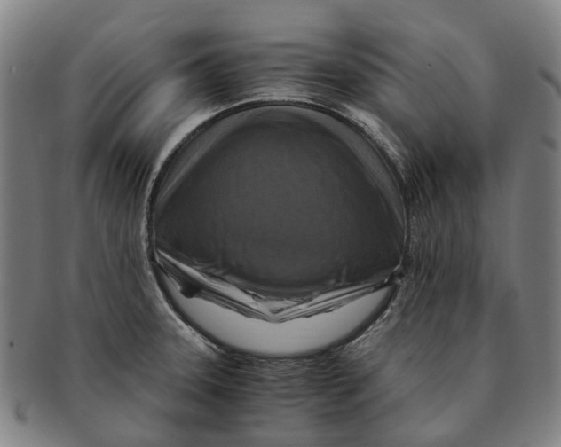 X0000091011331200708301348