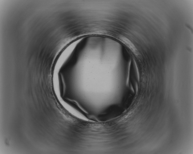 X0000091011332200708301348